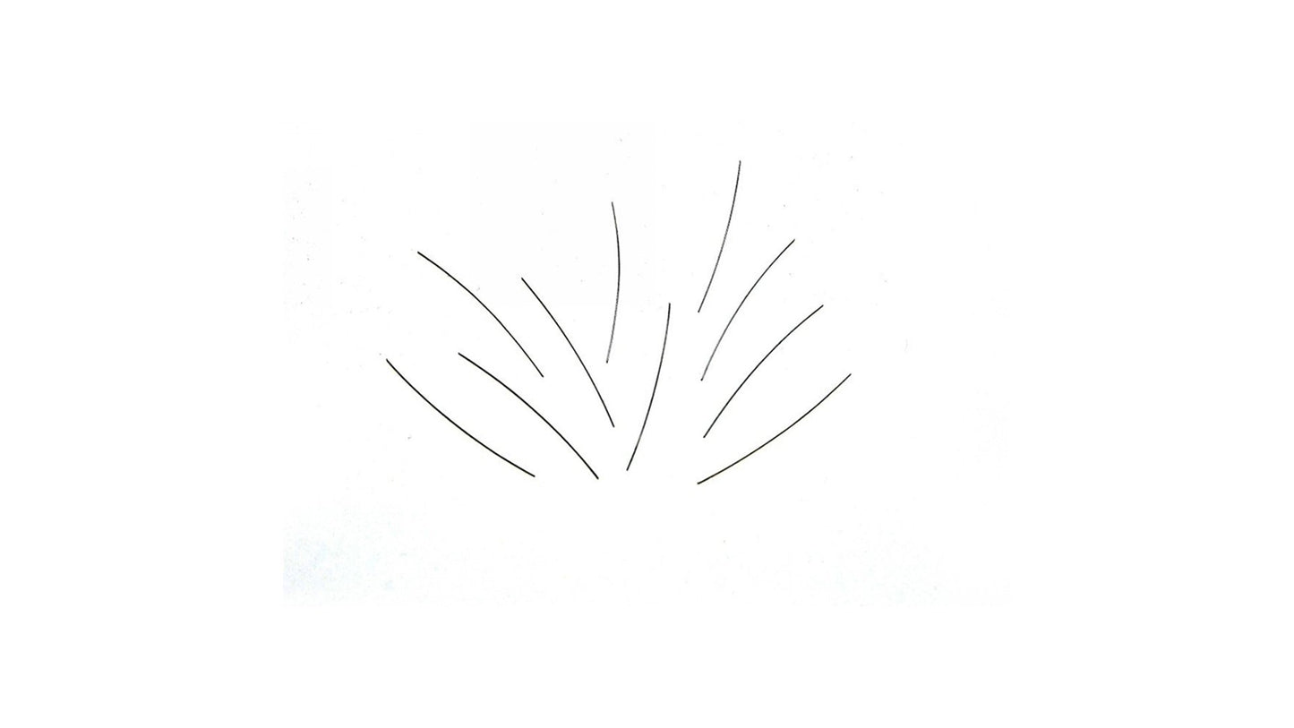 Fleischmann 764016 Spring Set each wire