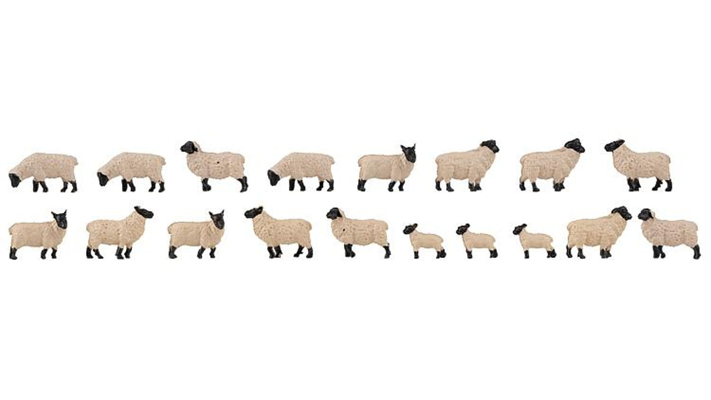 Faller 151918 18 Black headed sheep