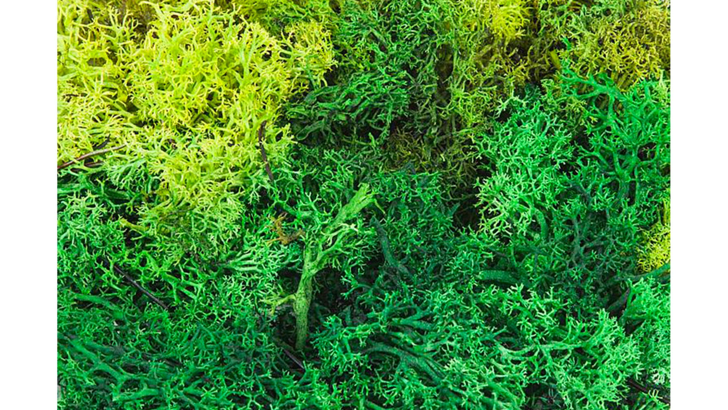 Faller 170729 Lichen assorted green 50 g