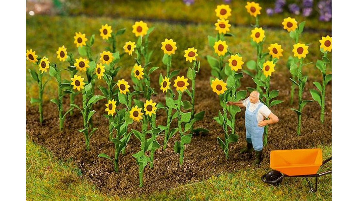 Faller 181256 16 Sunflowers
