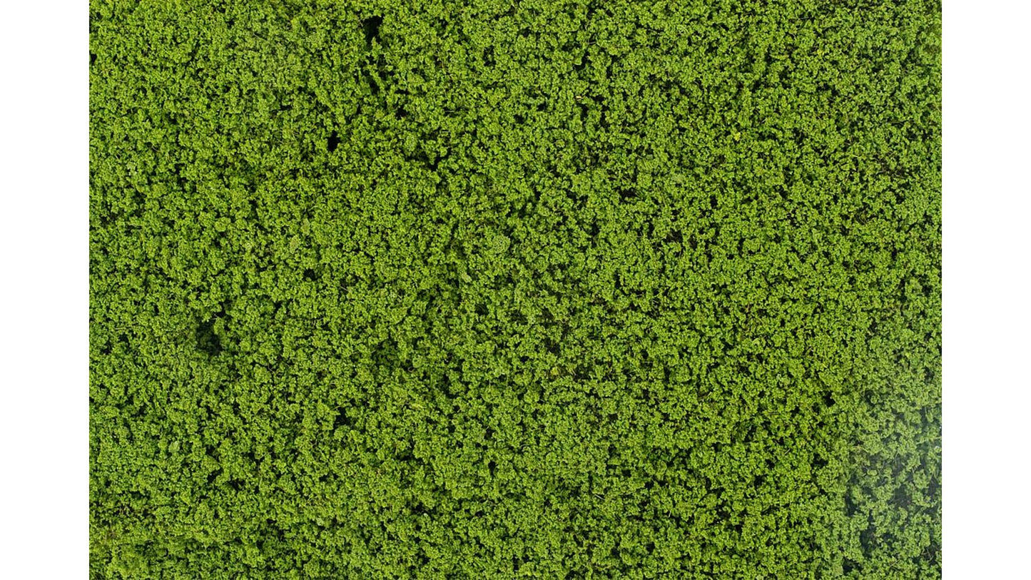 Faller FA181625 Leaf foliage, may green