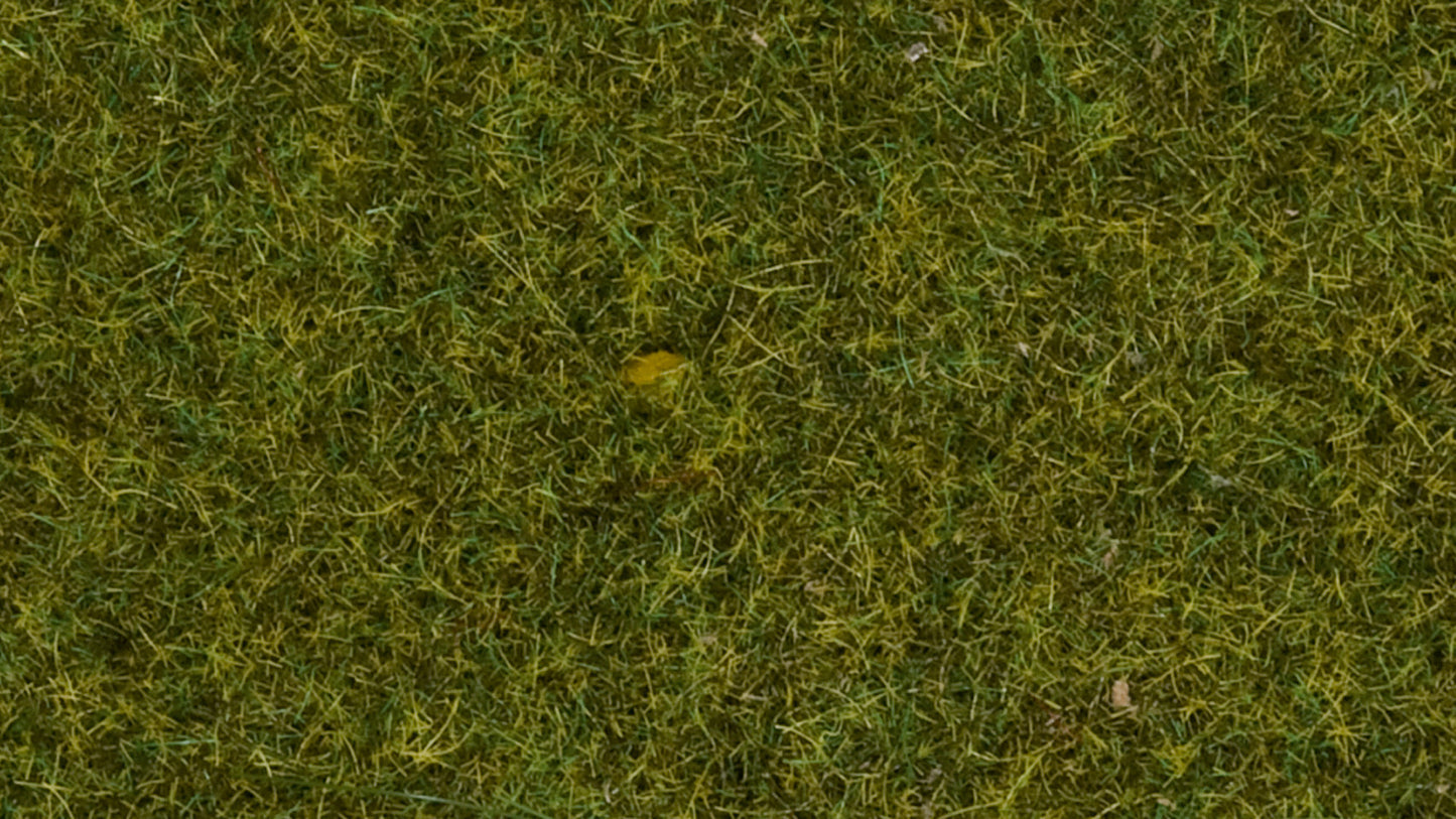 NOCH NO07117 Wild Grass “Meadow”