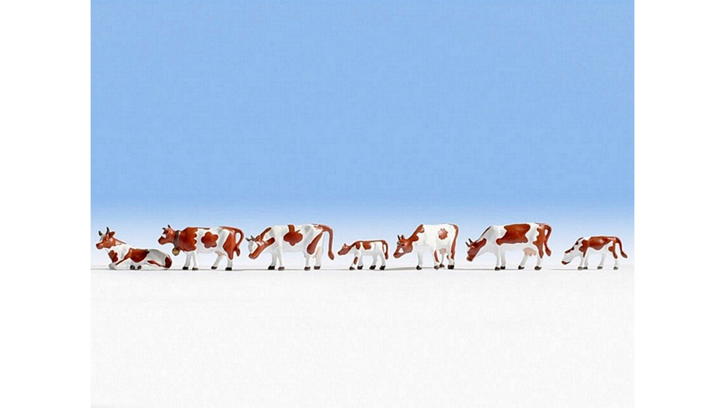 Noch NO15723 Cows brown-white for H0