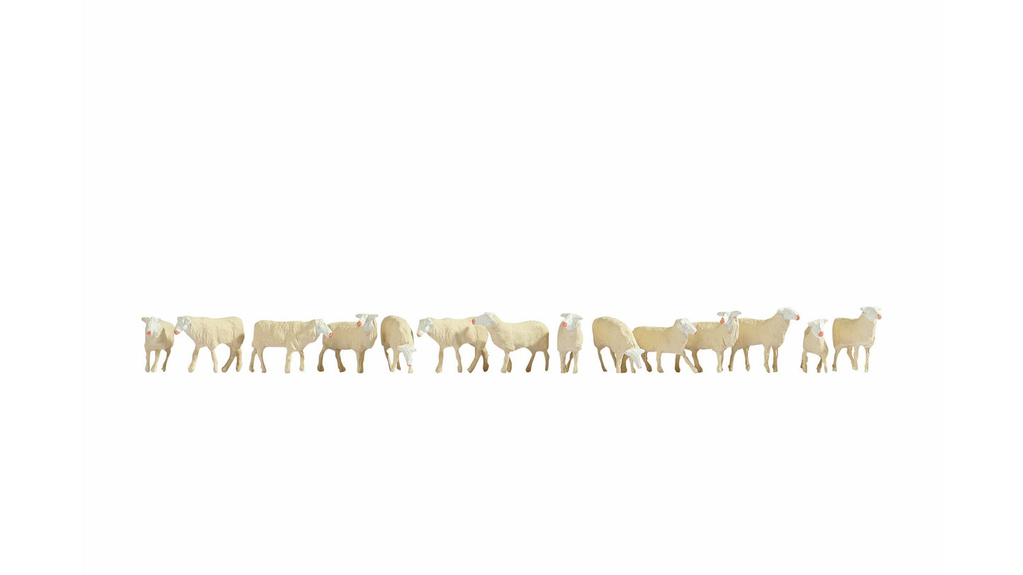NOCH NO15749 Sheep