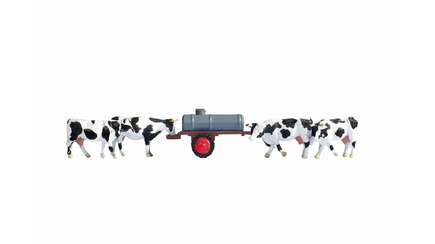 NOCH NO16658 Cows at Water Trough