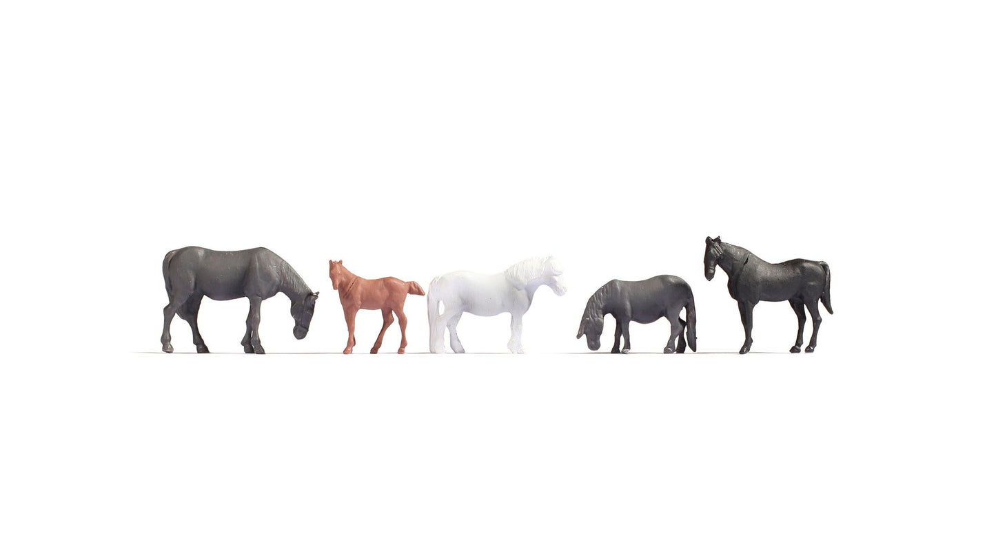 NOCH NO18215 Horses
