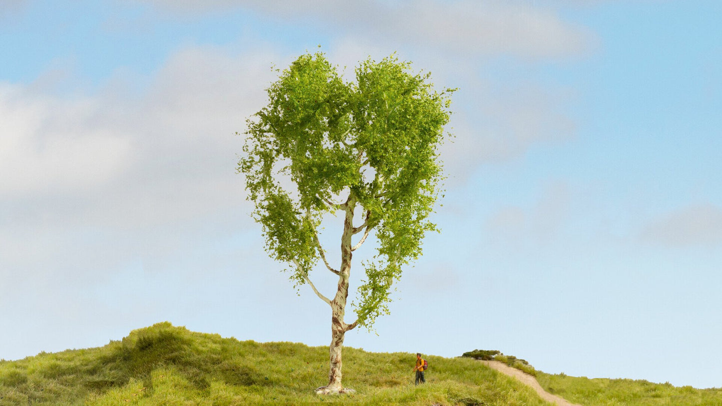 NOCH NO20125 Downy Birch Tree