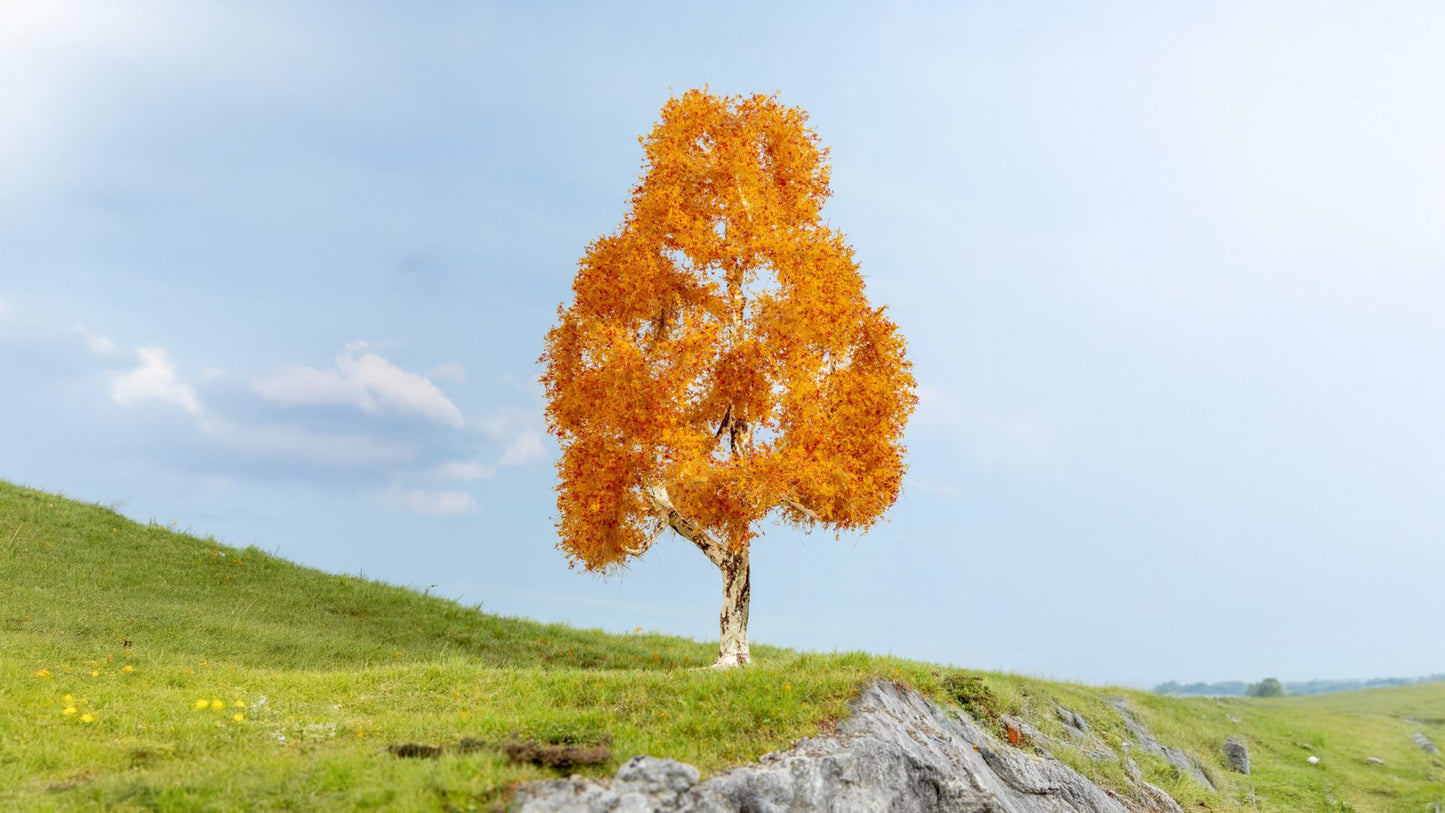 NOCH NO20129 Birch, autumnal