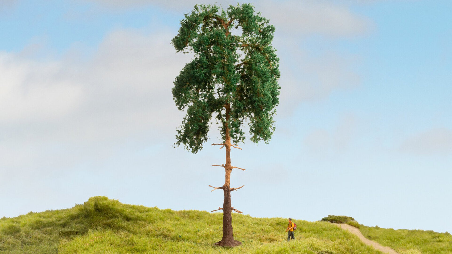 NOCH NO20141 Pine Tree