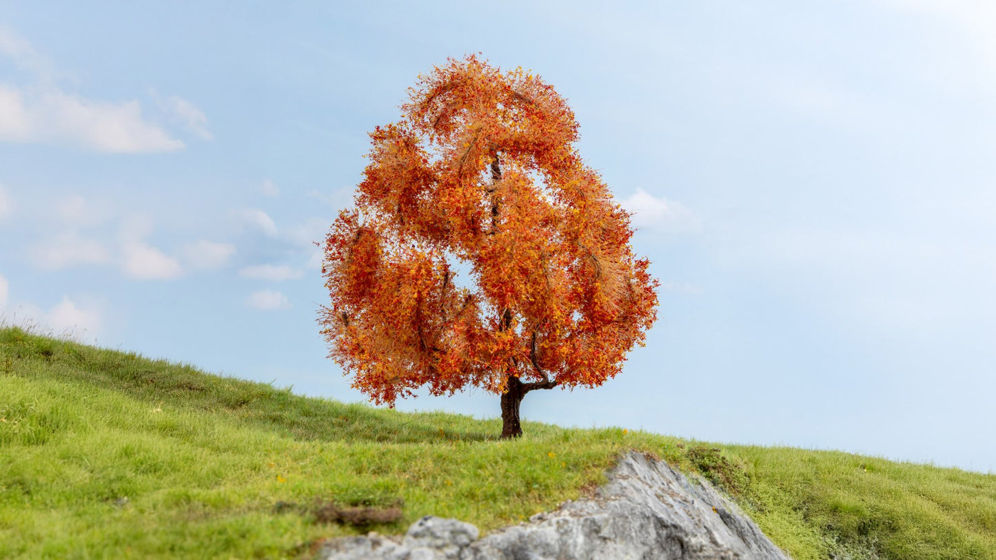 NOCH NO20155 Maple, autumnal