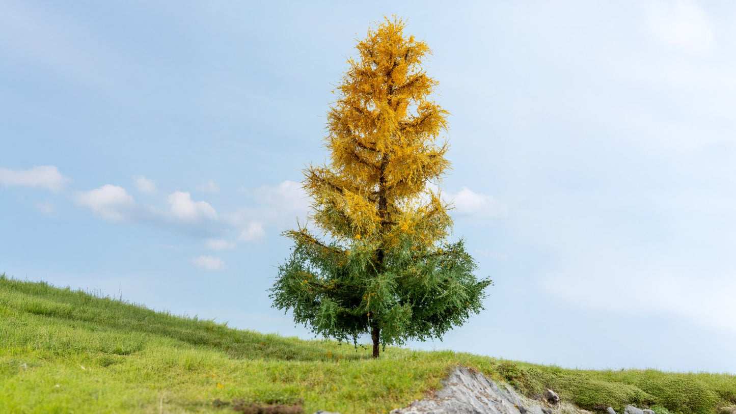NOCH NO20168 Larch, autumnal