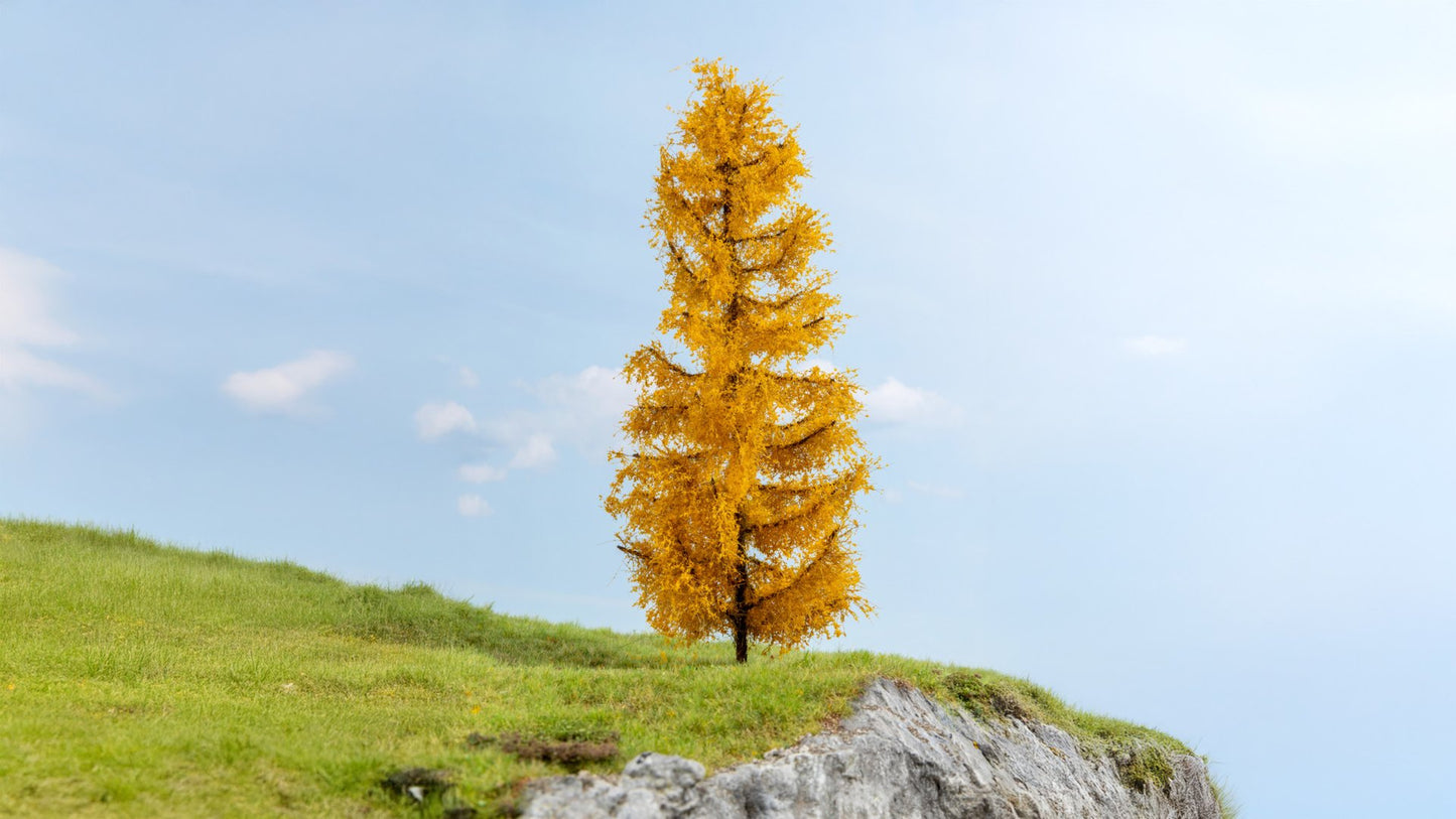 NOCH NO20169 Larch, autumnal