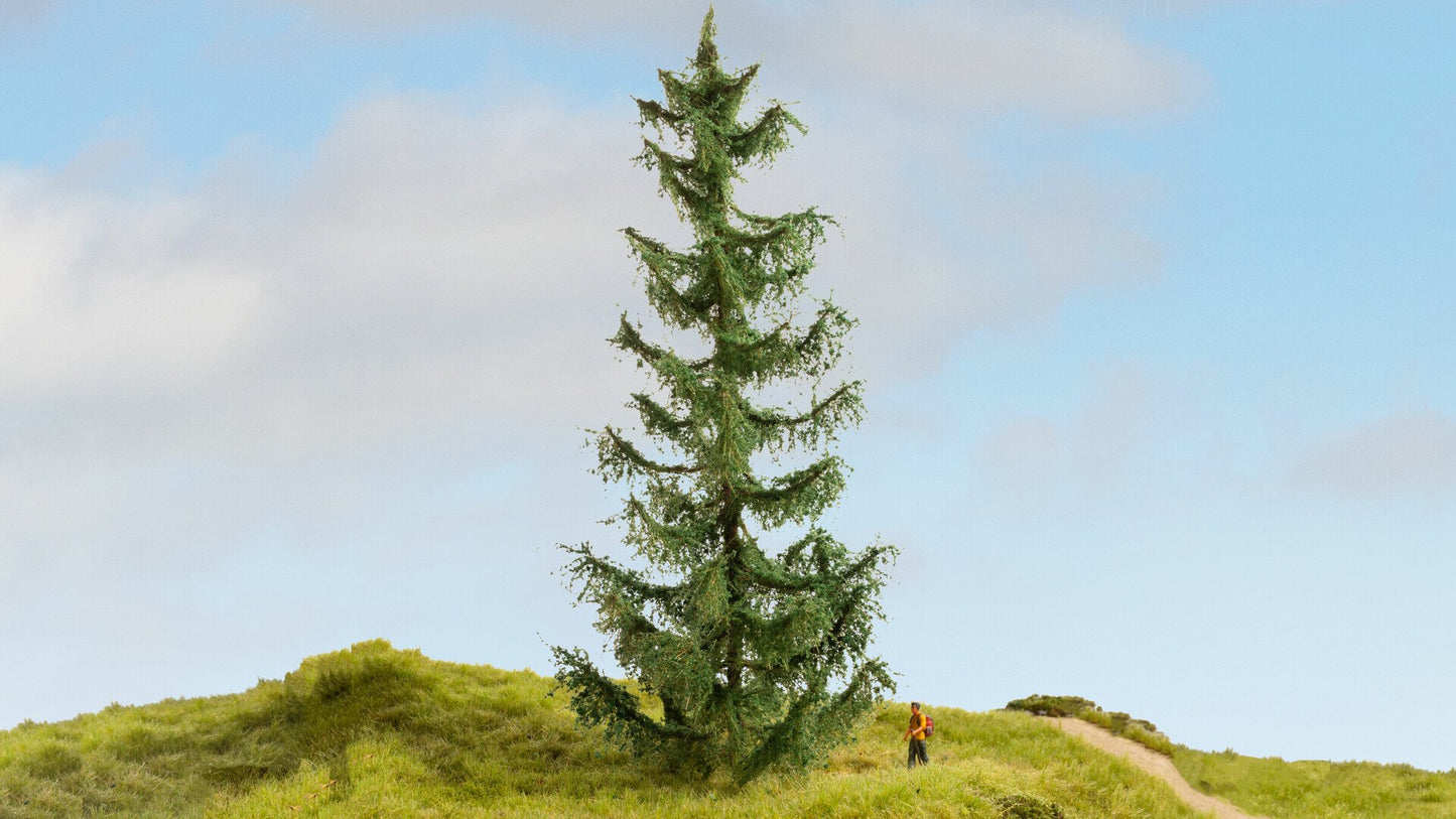 NOCH NO20191 Spruce Tree