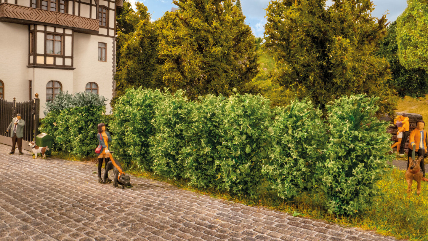 NOCH NO21547 Thuja Hedge