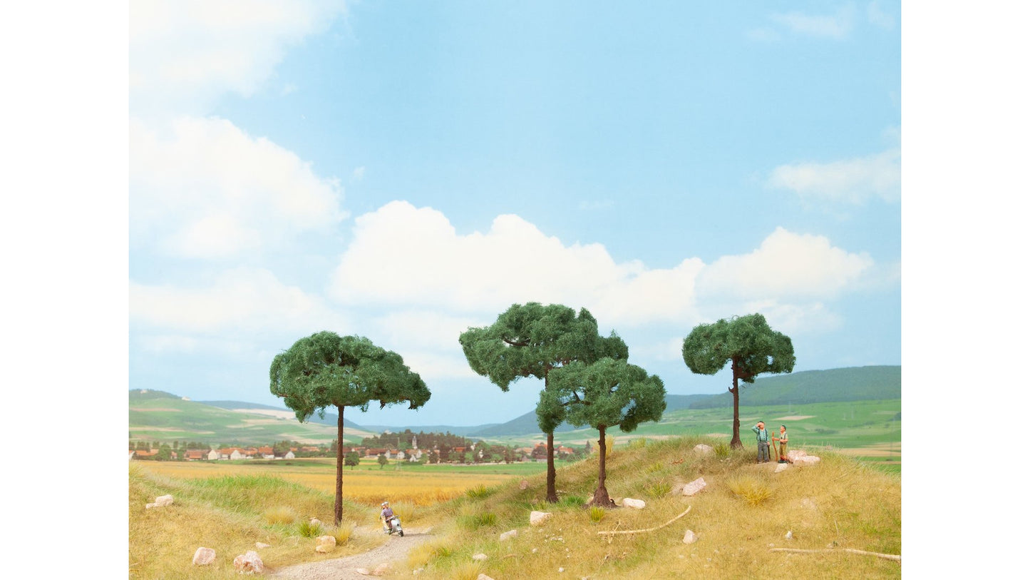 NOCH NO21992 Stone Pines