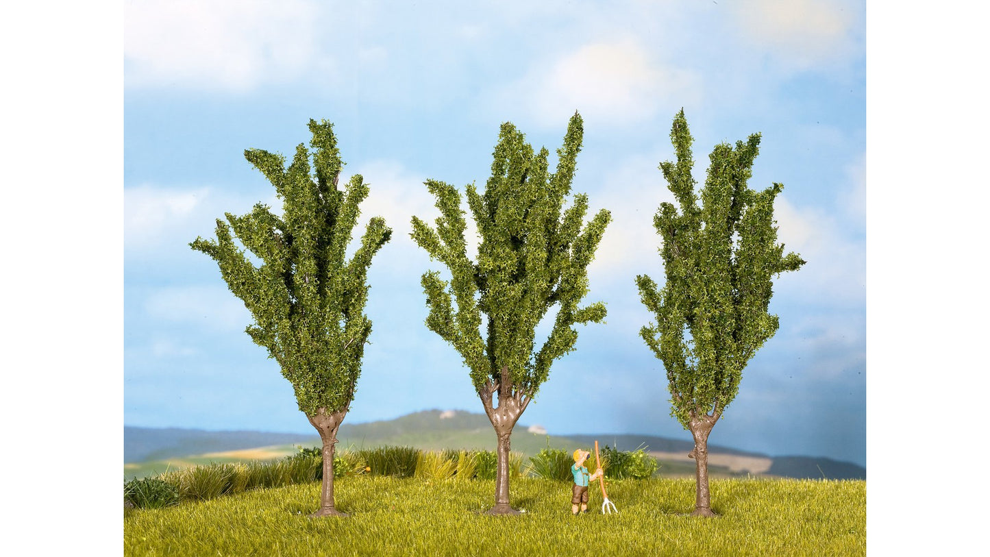 NOCH NO25525 Poplars
