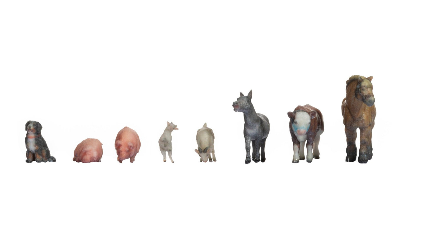 NOCH NO35705 Animals on the Farm