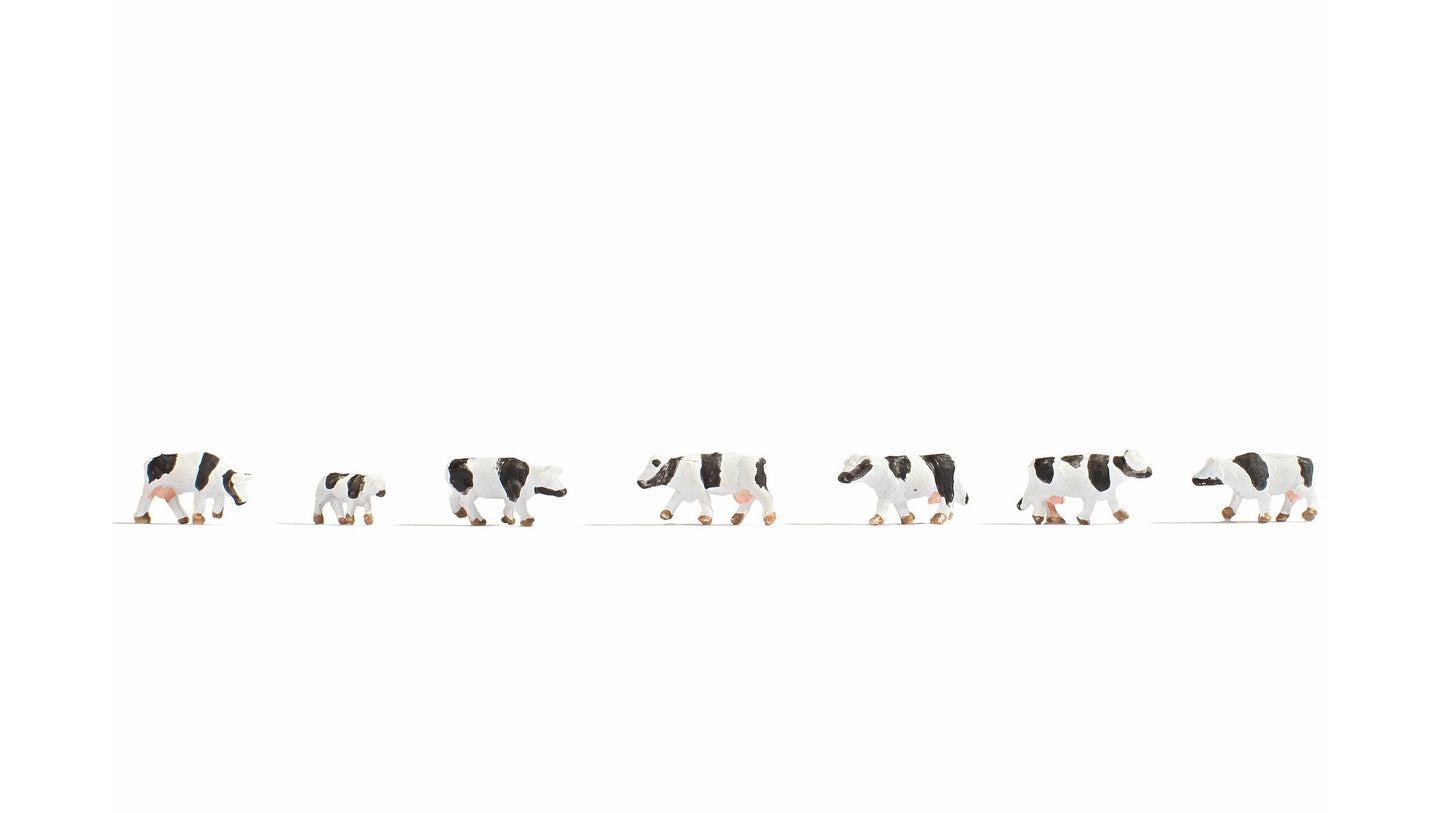 NOCH NO44250 Cows, black-white