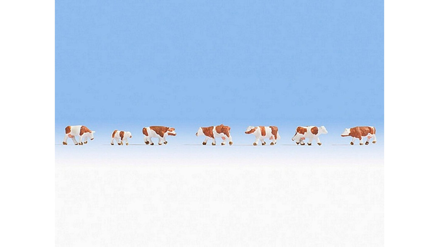 Noch NO44251 Cows brown-white for Z