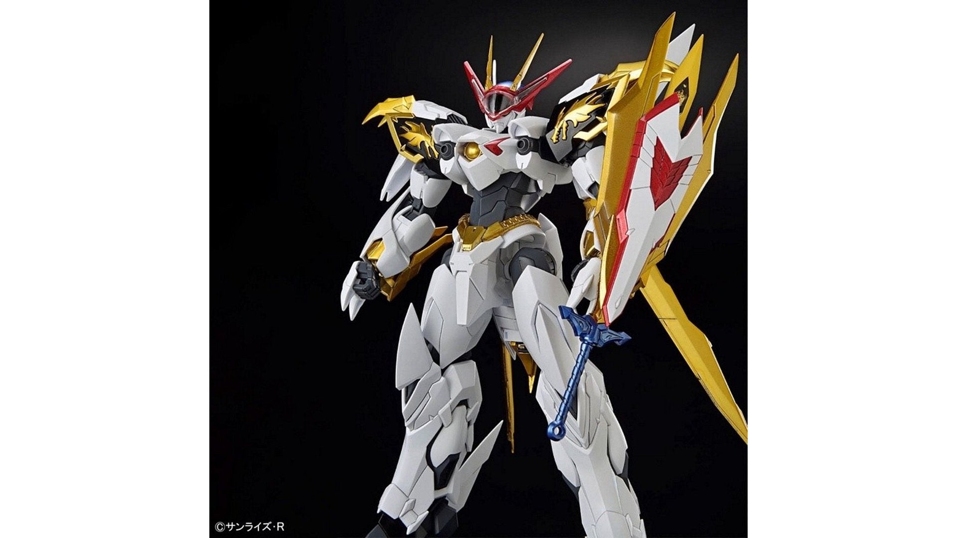 Bandai 2695888 Amplified IMGN Ryuoumaru HG