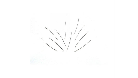 Fleischmann 764016 Spring Set each wire