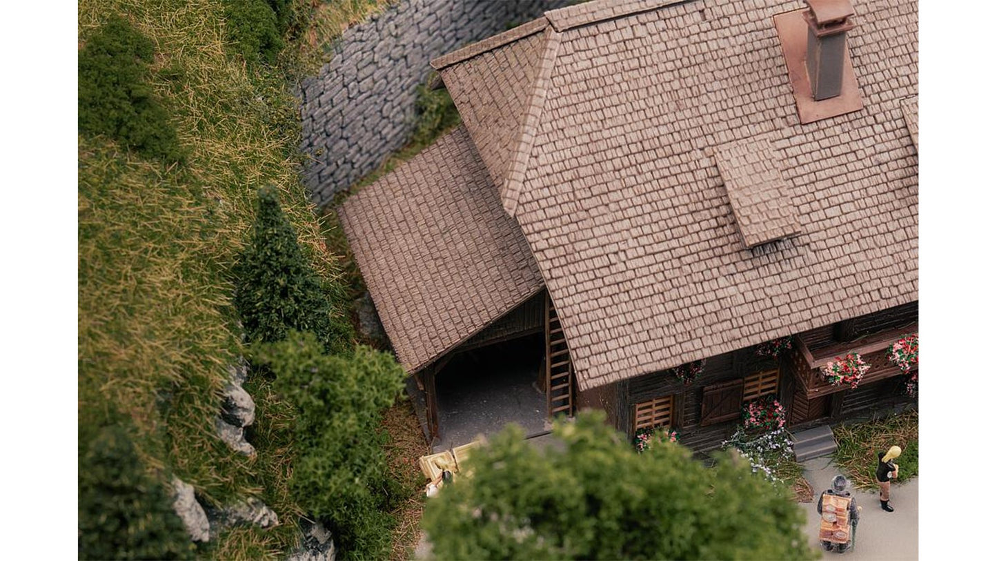 Faller FA130012 Clockmaker's house with figure Anniversary model