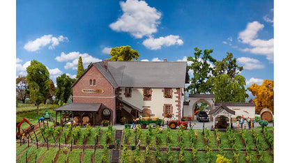 Faller 130611 Winery