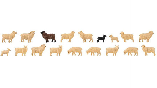 Faller 151917 18 Domestic sheep