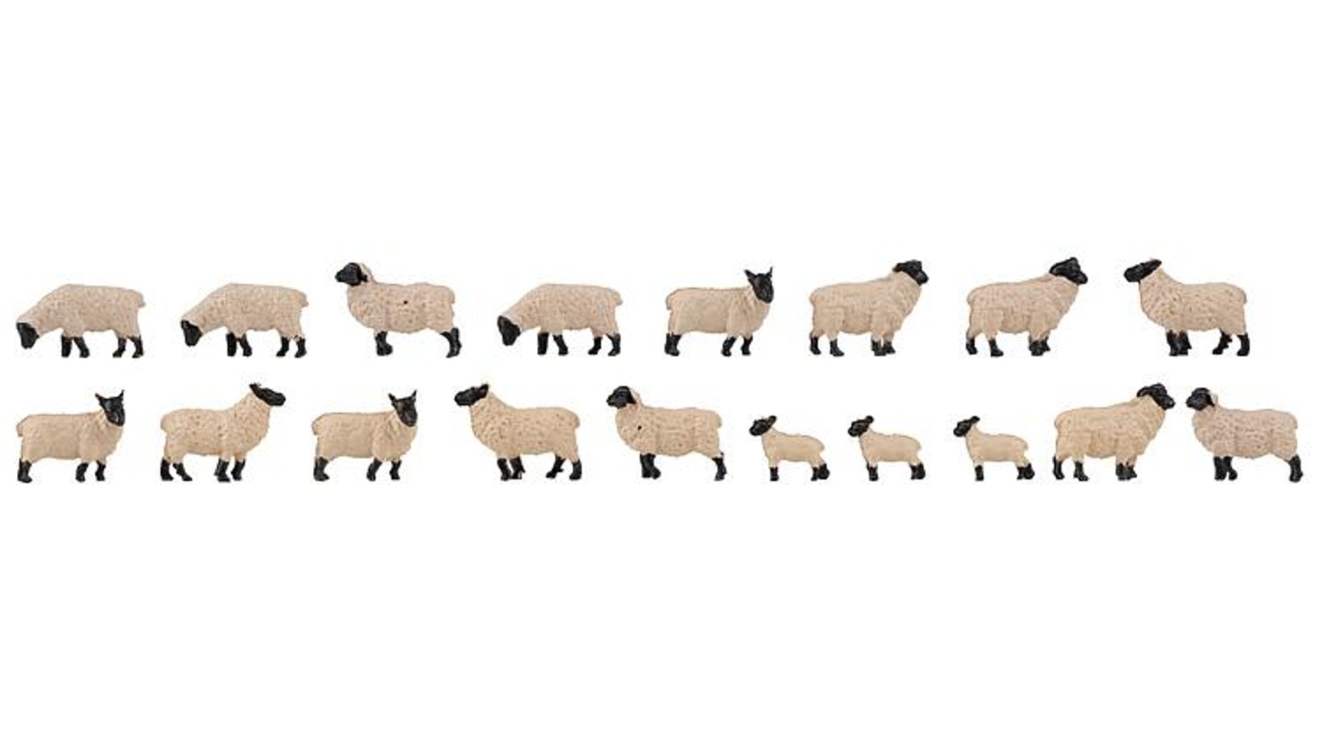 Faller 151918 18 Black headed sheep