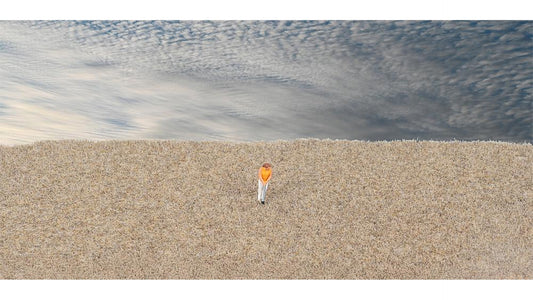 Faller FA170200 Litter fibres, winter grass, 2-3 mm, 35 g