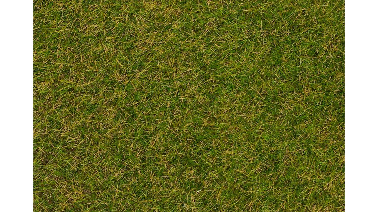 Faller 170206 Wild grass ground cover fibres Early summer lawn 4 mm 30 g