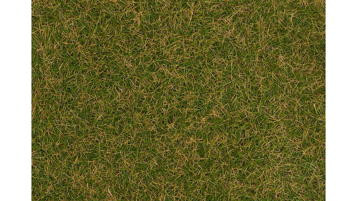 Faller 170209 Wild grass ground cover fibres brownish green 4 mm 30 g
