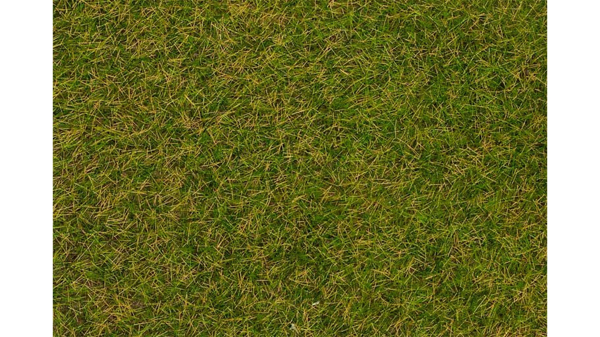 Faller 170231 Wild grass ground cover fibres Early summer lawn 4 mm 80 g