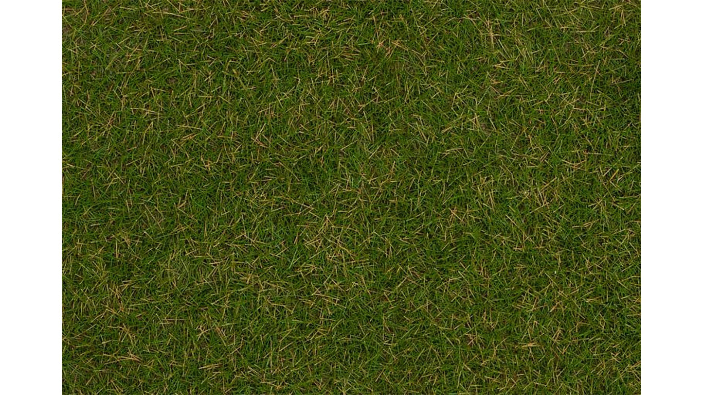 Faller 170232 Wild grass ground cover fibres Summer lawn 4 mm 80 g