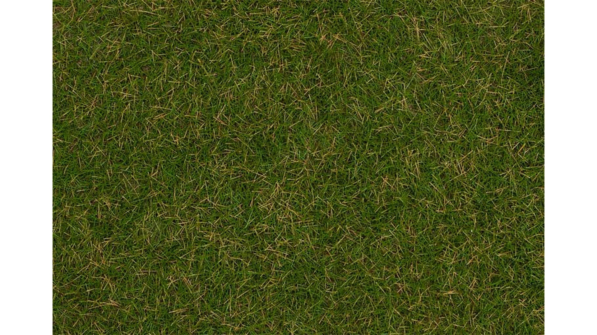 Faller 170232 Wild grass ground cover fibres Summer lawn 4 mm 80 g