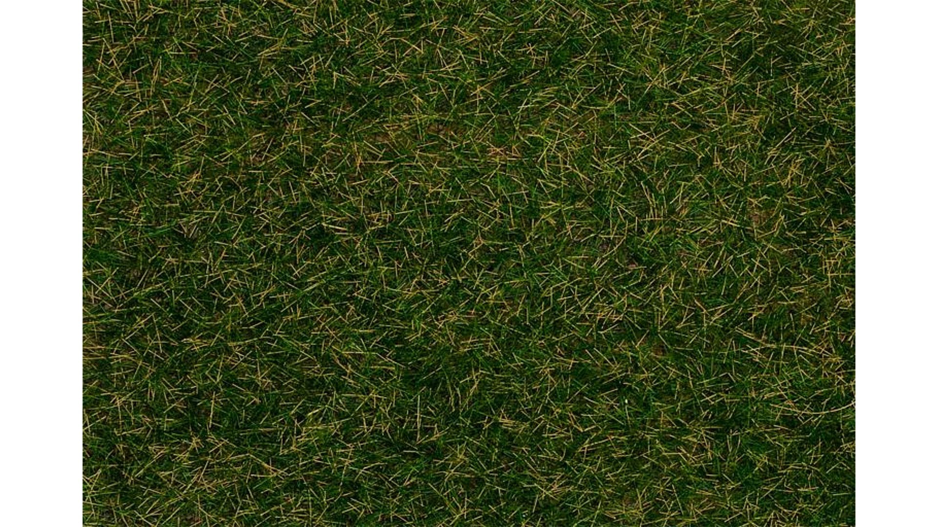 Faller 170233 Wild grass ground cover fibres dark green 4 mm 80 g