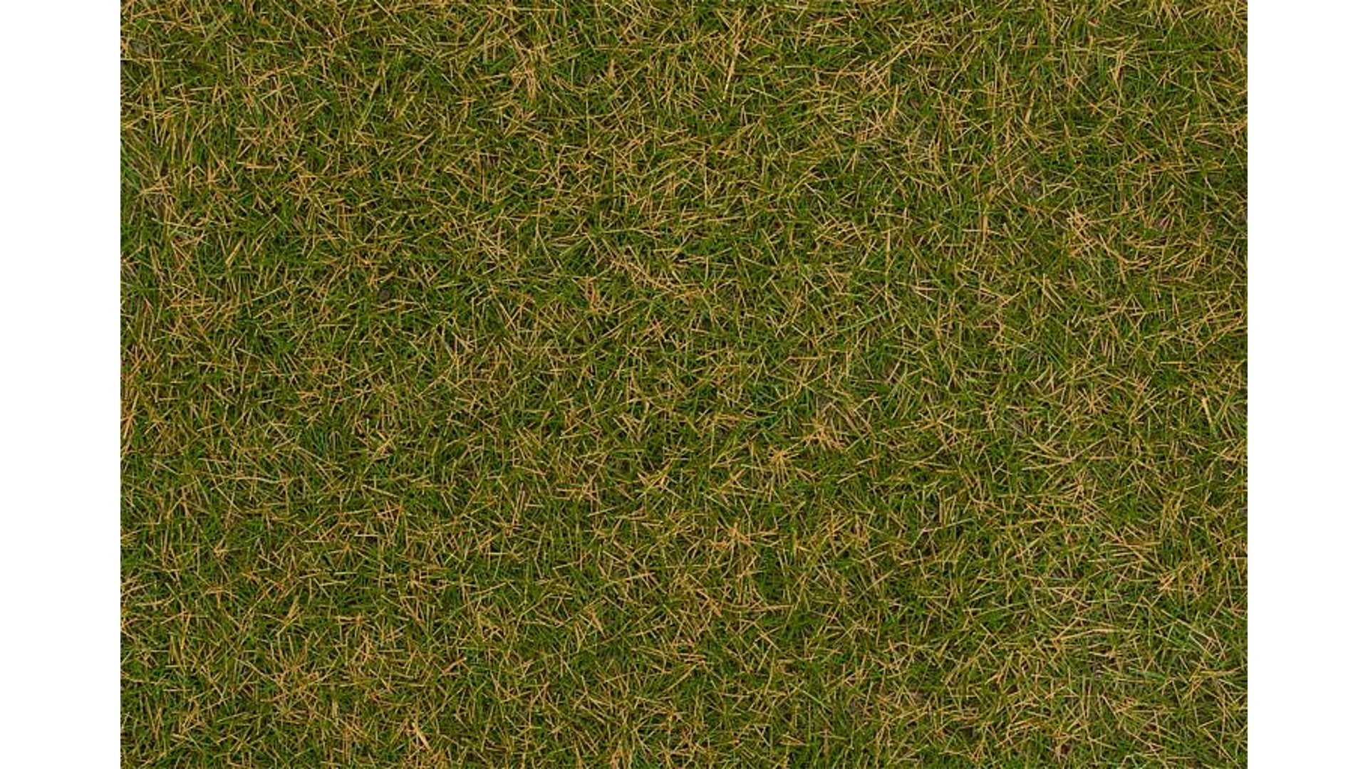 Faller 170234 Wild grass ground cover fibres brownish green 4 mm 80 g