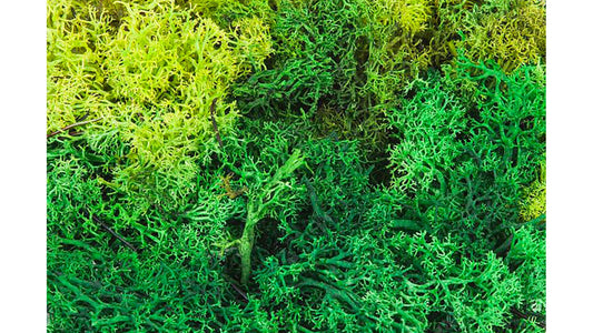 Faller 170729 Lichen assorted green 50 g