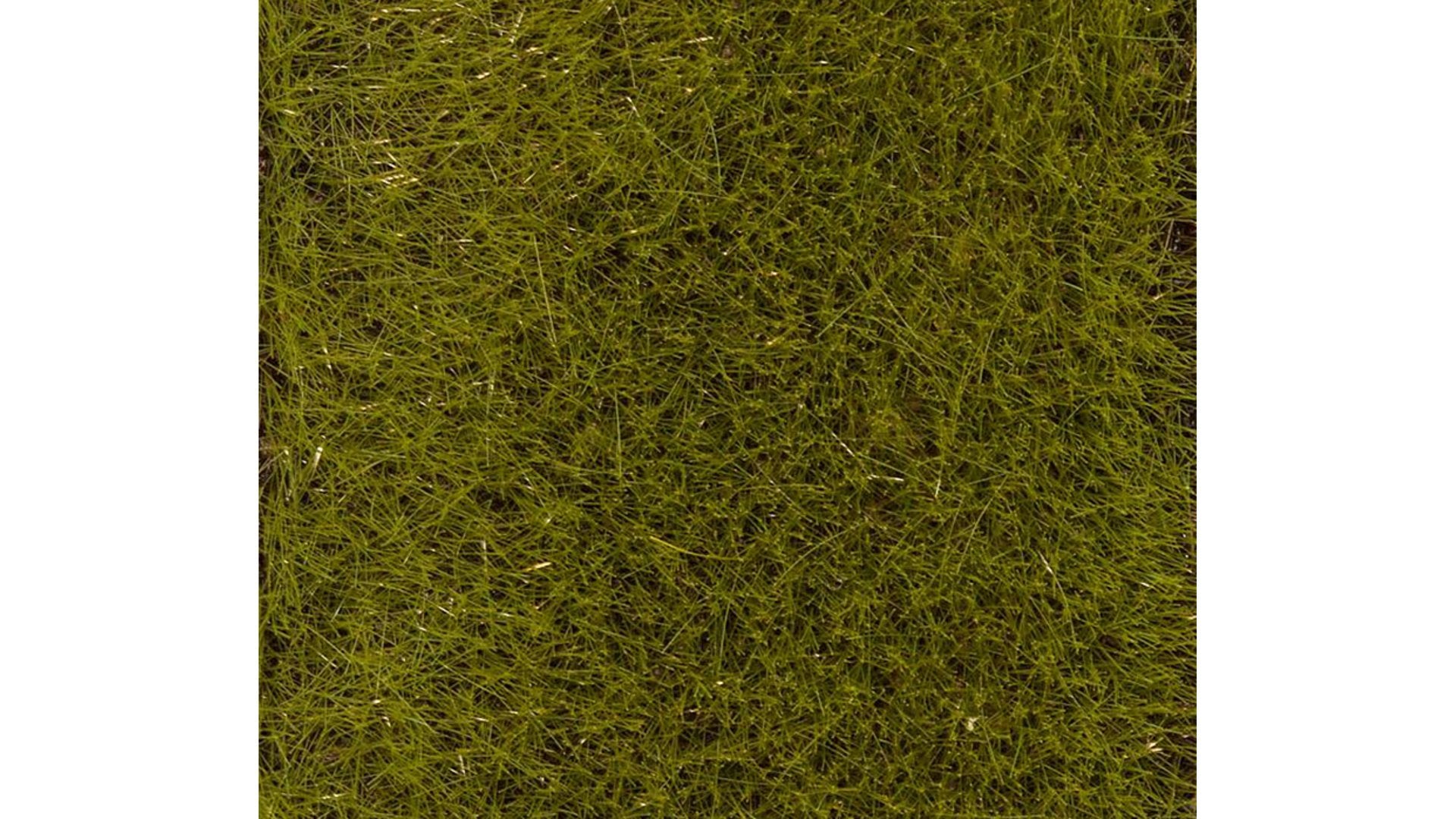 Faller 170772 PREMIUM Ground cover fibres Early Summer Meadow 6mm 30g
