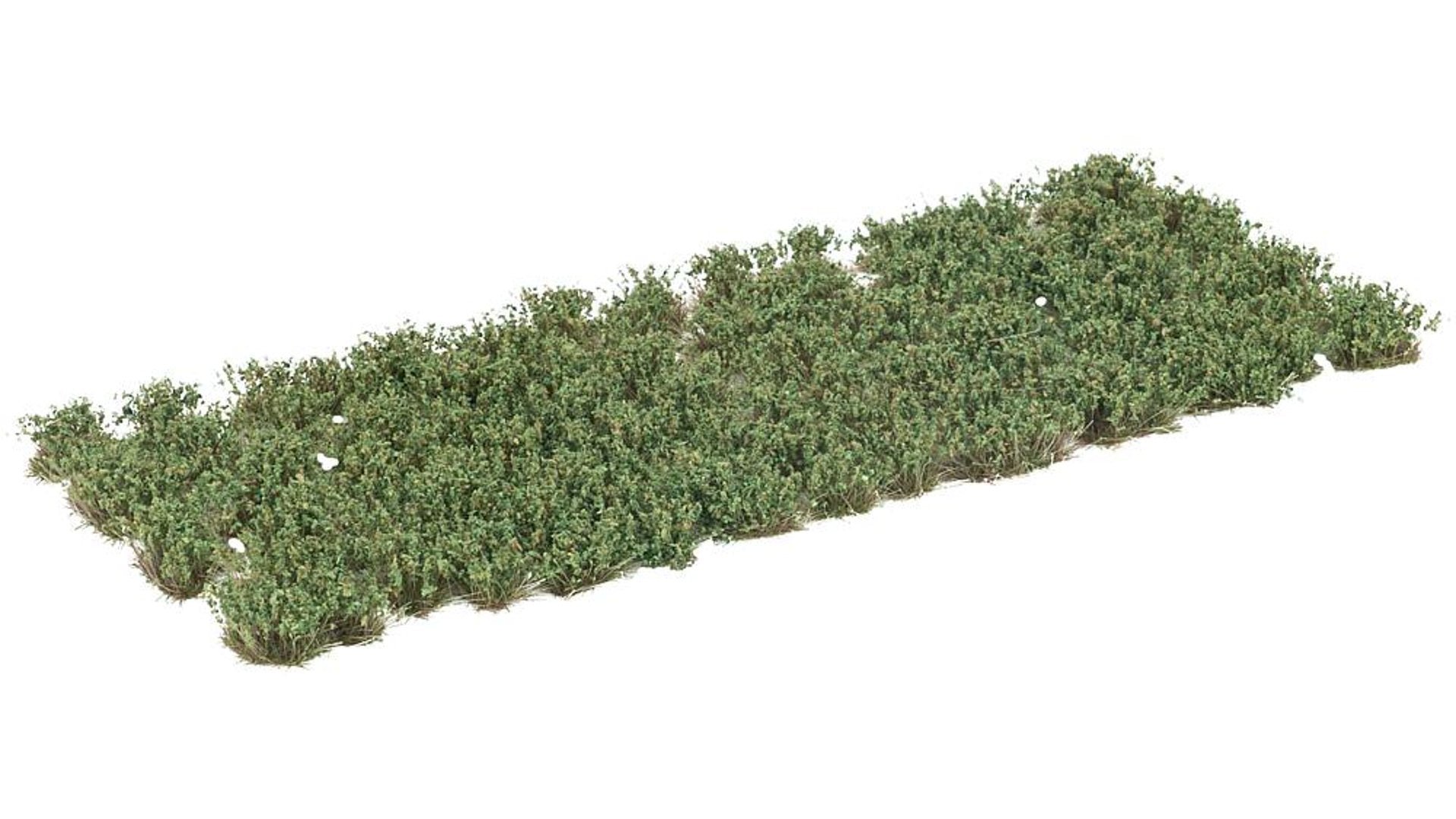 Faller FA171381 Flower clusters, dark green