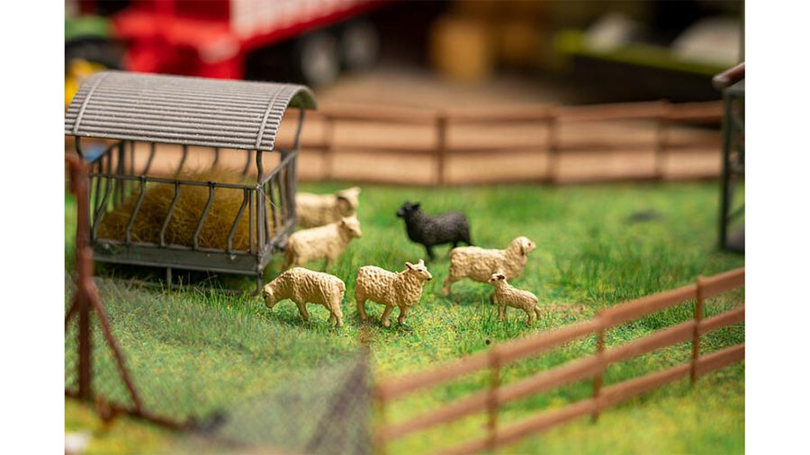 Animals
