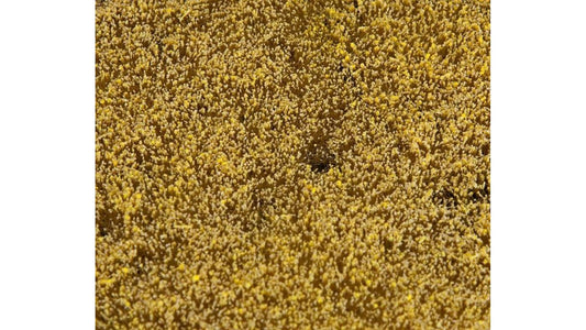 Faller 180466 PREMIUM Landscape segment Cereal field