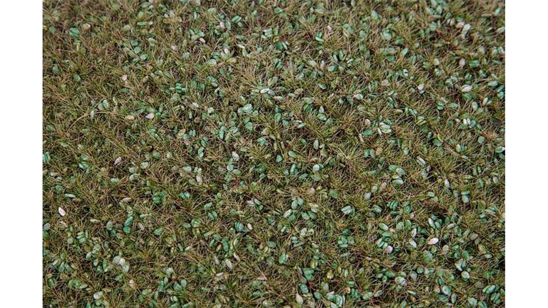 Faller 180469 Landscape segment Field strip