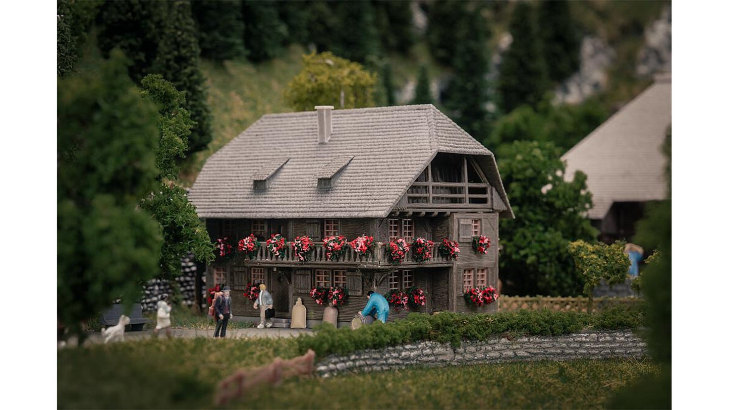 Faller FA232011 Clockmaker's cottage with figure Anniversary model