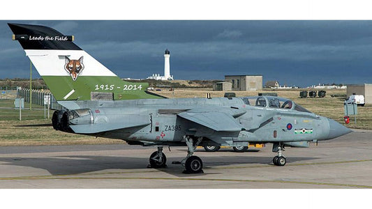 Hasegawa 02116 Tornado GRA Farewell Special Limited
