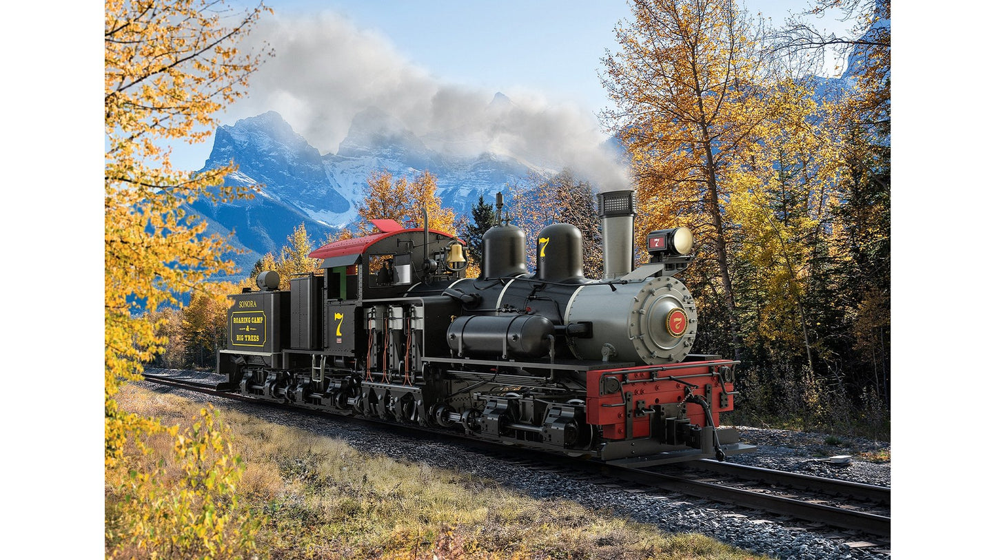 LGB L26701 RC & BT RR Shay Steam No. 7