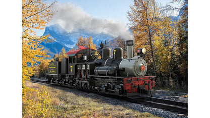 LGB L26701 RC & BT RR Shay Steam No. 7