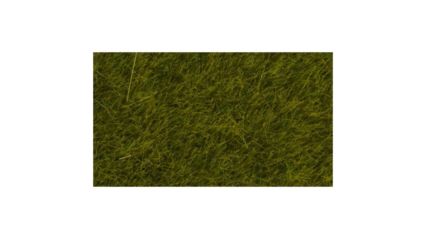 Noch 07100 Wild Grass Meadow