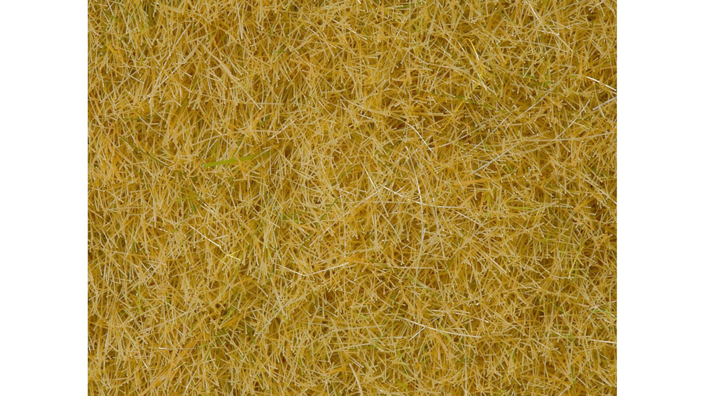 Noch NO07101 Wild Grass for G-1-0-H0-H0M-H0E-TT