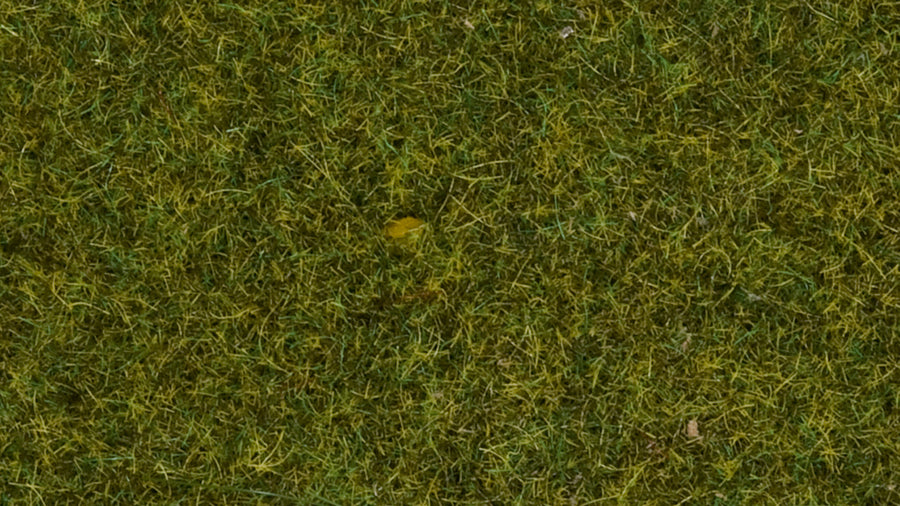 Electrostatic Grass Application